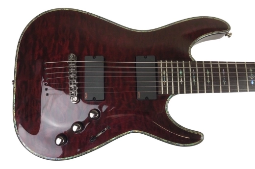 Schecter Hellraiser 7 String 3